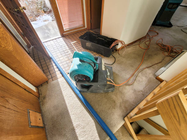 Best Local water damage restoration  in Benton Park, CA