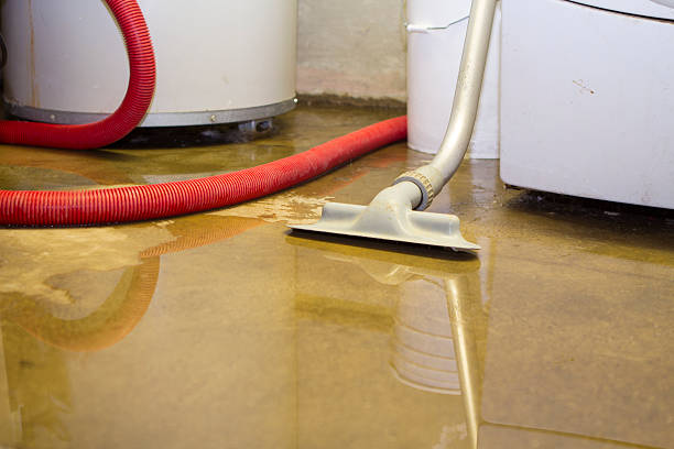Best Fire Damage Restoration  in Benton Park, CA